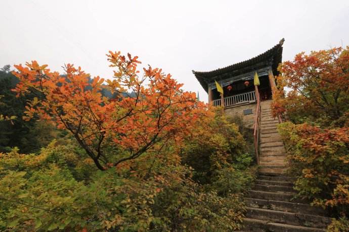 d¡ɽλmпh幫̎m60򡰳аƺoHȡɽܕrѳɞ菶֮念gȡd֮d¡ɽoʮȫɽͤ_wԼR_70̎c24̎ɞٵ