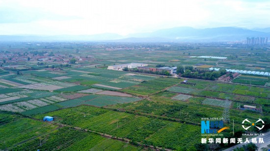 Cʡmпhȫo߲aʾؿhȫhFн6fr¸ԭĲ˵ķNֲԭĲˮaIr˿_24fռȫh˔54.3%߲˷Nֲȫhr˾ؕI_35%2017ȫhԭĲ˷Nֲe_42.1f^20162.3f߲˿a_105fFaֵ17.5|Ԫ߲ˮaIѳɞпhطɫaI͏Vr¸յaI