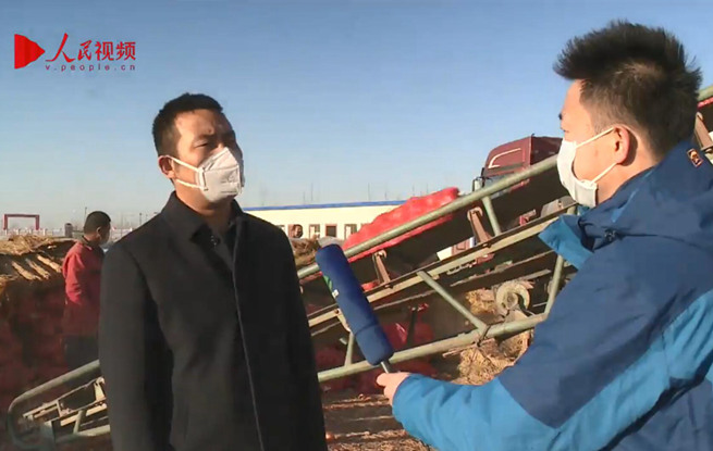 張掖：保障蔬菜市場供應穩定