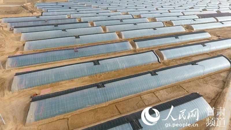 hh߲˷NֲҴ Tď  z