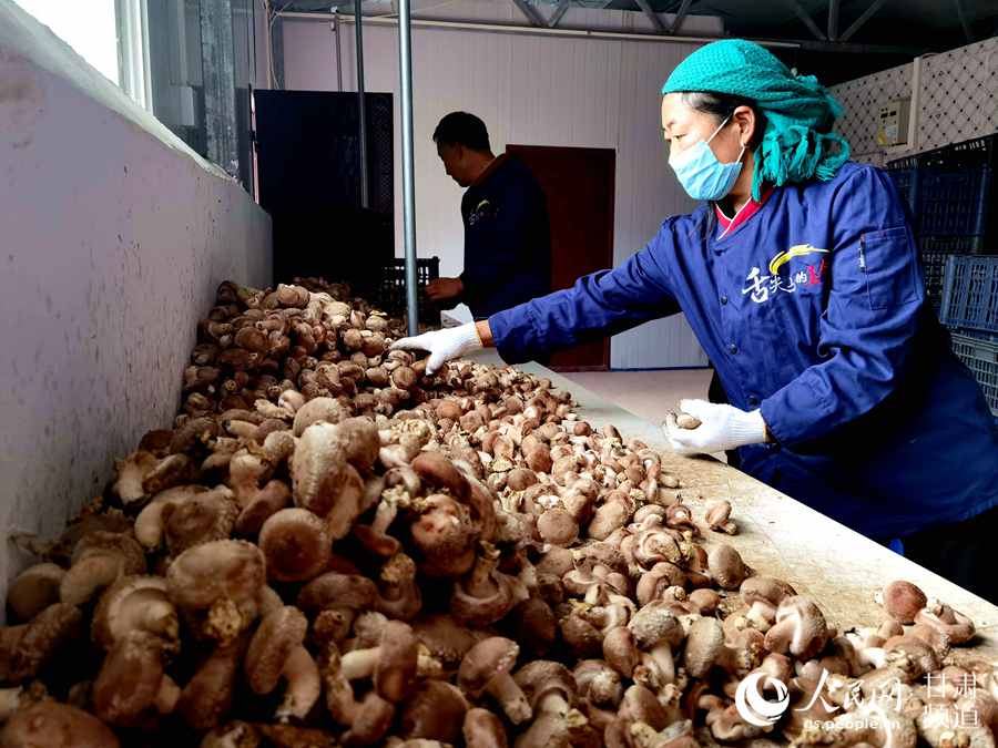 f׵طؚwcOʩ㹽NֲѳҎģڷ֒㹽 z