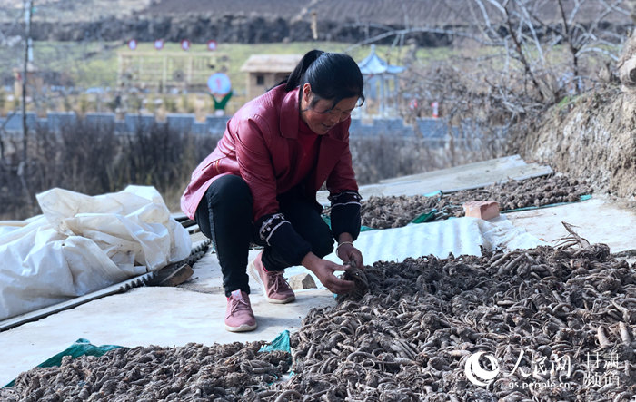 ếh궼lִGԼTh