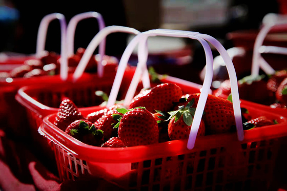 h؛ЈġݮÕrȽ܊z