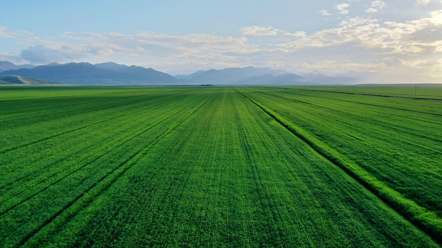 ɽRһʮ꠵ݵɽRնYԴÿӋ؃䶬 z