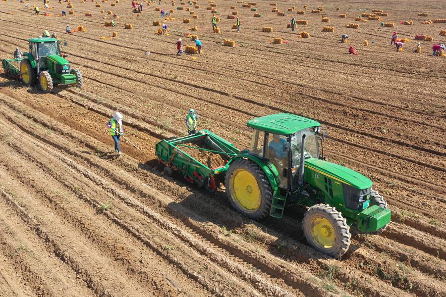 m^^ȥġ̻׃SP z