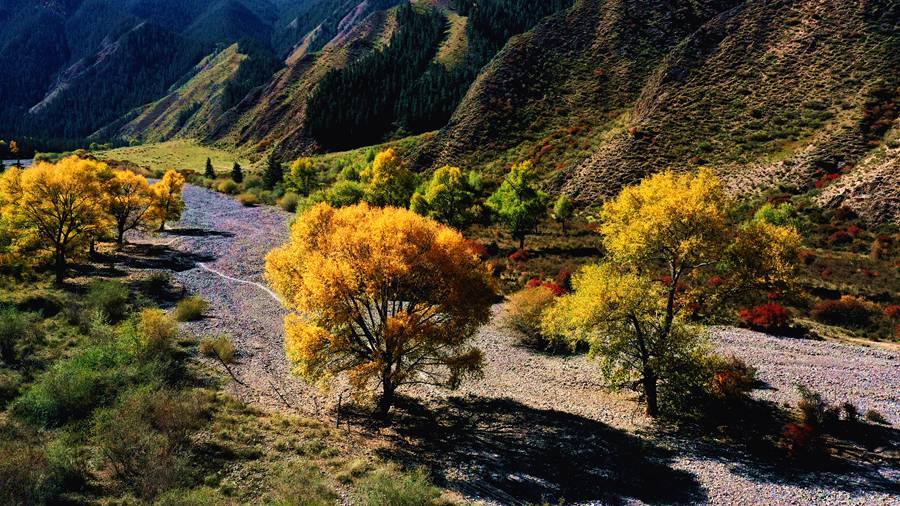 CCϣԊ箋ѩS z