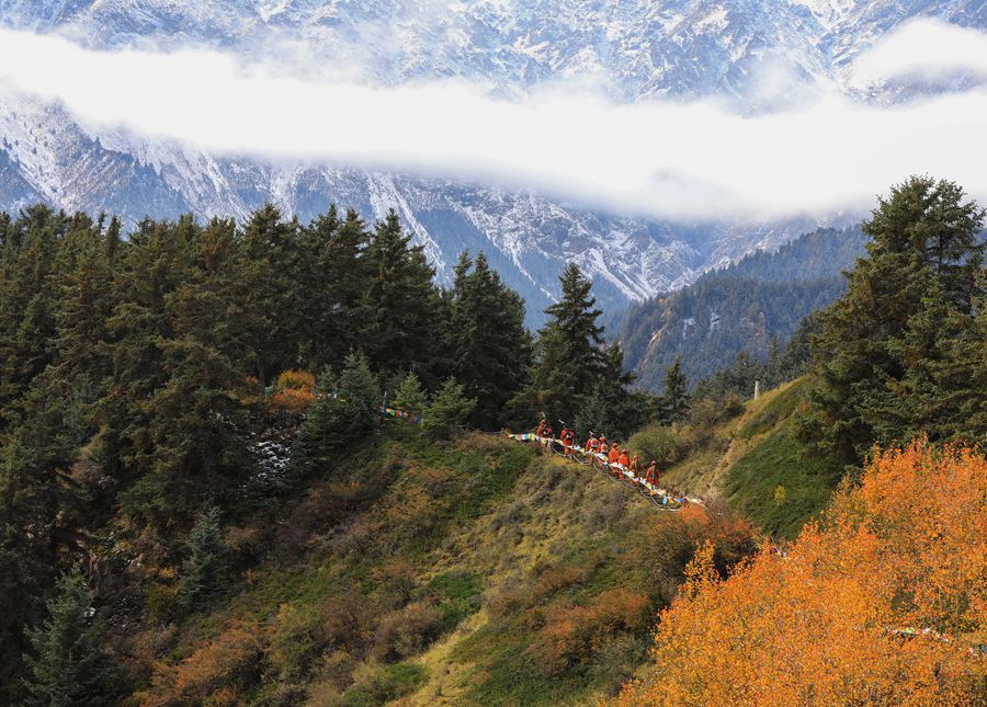 ɭָTR¾^_չѲo С܊z