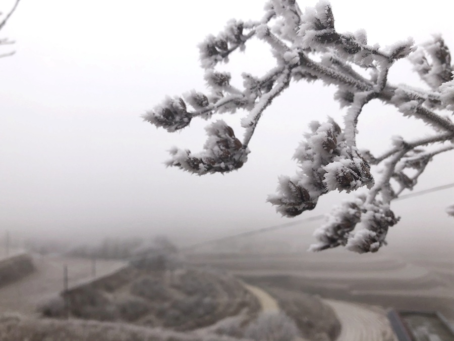 CʡmбɽFҊF Mz