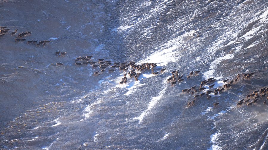 һo״¹شNȺ٬FBɽҹ@ ѩ Sz