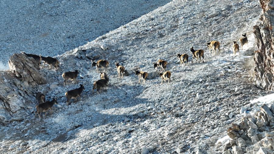 һo״¹شNȺ٬FBɽҹ@ ѩ Sz