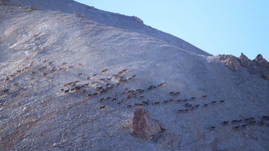 һo״¹شNȺ٬FBɽҹ@ ѩ Sz