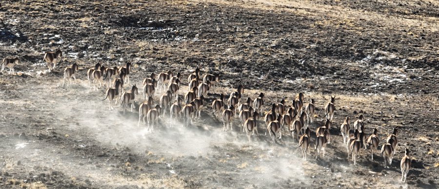 CCϬF200^ҰHNȺѩ Sz