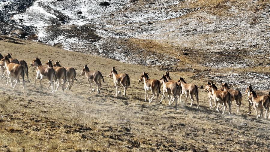 CCϬF200^ҰHNȺѩ Sz