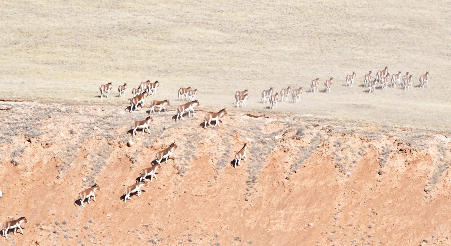 CCϬF200^ҰHNȺѩ Sz