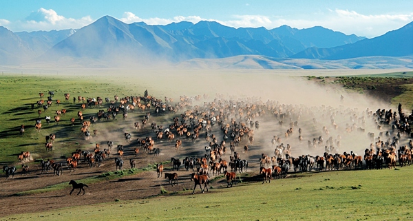 張掖地處河西走廊中部，南依青海、北壤內蒙，自古以來就是絲綢之路商賈重鎮和咽喉要道，取“張國臂掖、以通西域”而得名。張掖歷史文化積淀深厚、民族風情濃郁獨特、自然風景雄渾壯美，是東西經濟融合之地、中西文化交匯之所，是國家歷史文化名城和中國優秀旅游城市。 