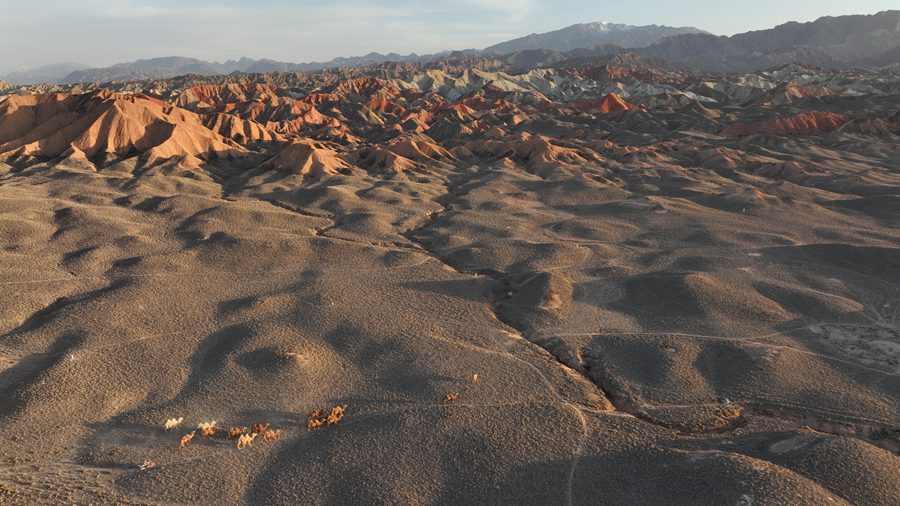 D202254պĵ߲ʵϼz