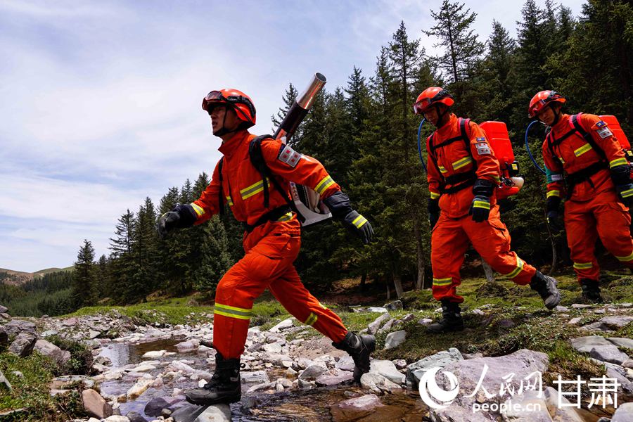 CʡɭꠏҴ֧_չɭֲԭѲoW ļΔz