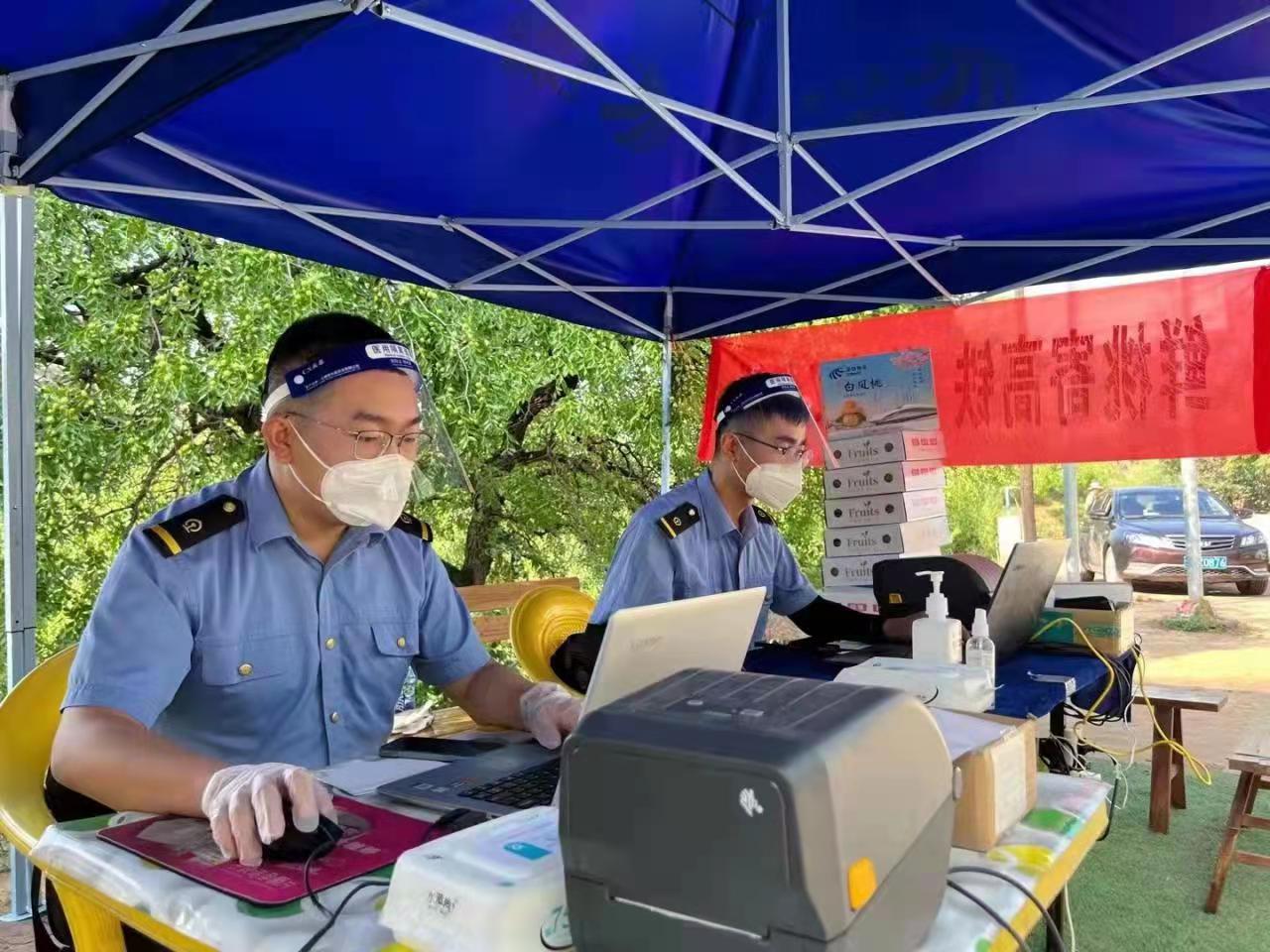 白鳳桃通過高鐵發往全國各地。宋佳龍攝