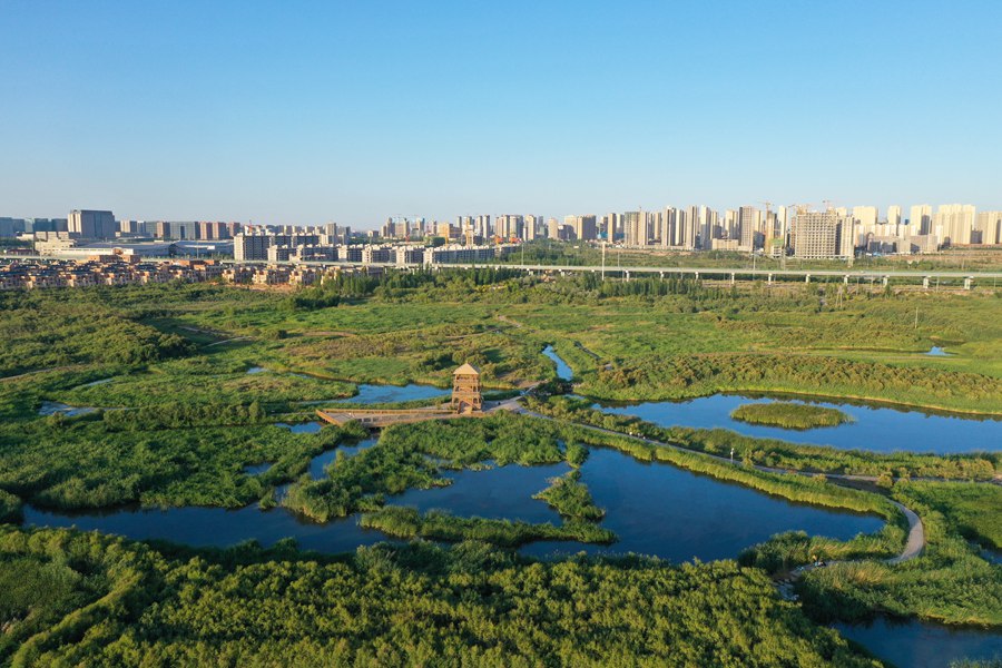 蘭州新區：十年蝶變 魅力無限。蘭州新區黨工委辦公室供圖