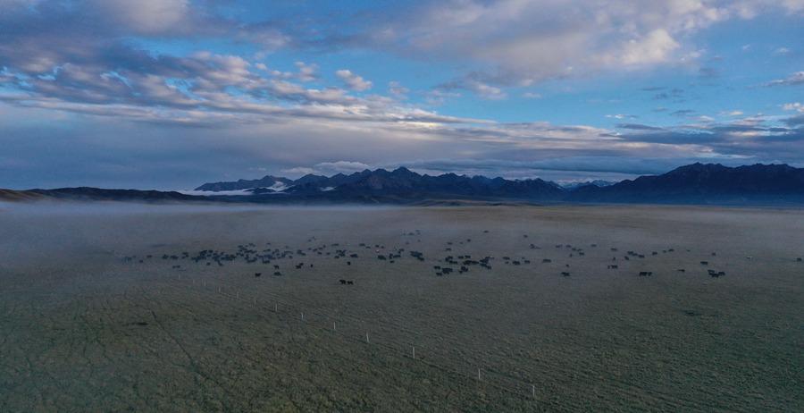 甘肅山丹馬場：峽谷云霧似仙境。 王超攝