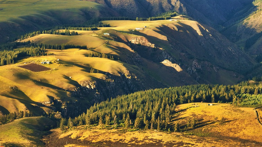 秋染祁連。安維斌攝