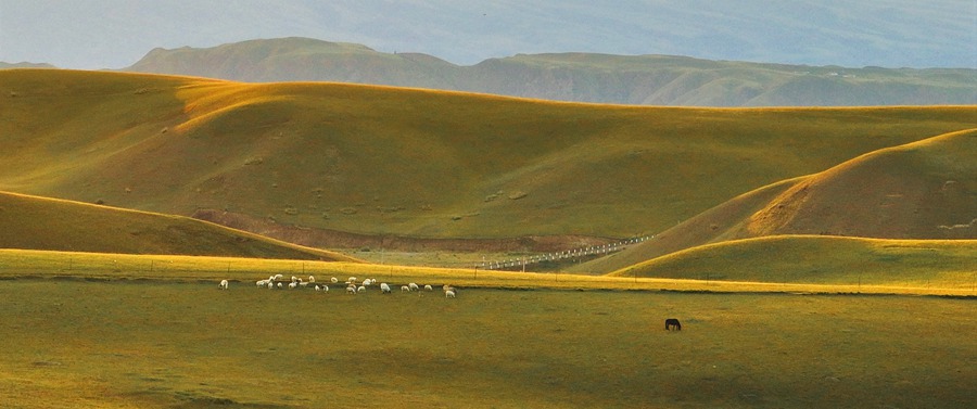 秋染祁連。安維斌攝