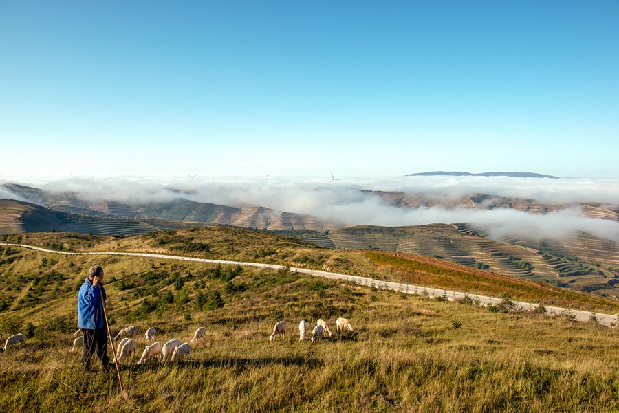 通渭華家嶺：雨后云霧繞 梯田美如畫。張子斌攝