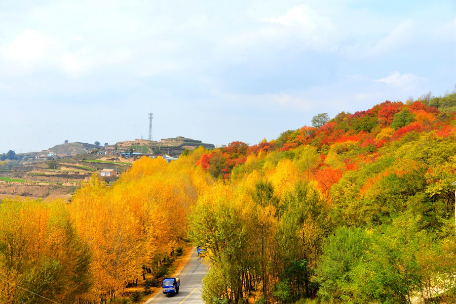 甘肅隴西：層林盡染秋色美。 崔翔龍攝