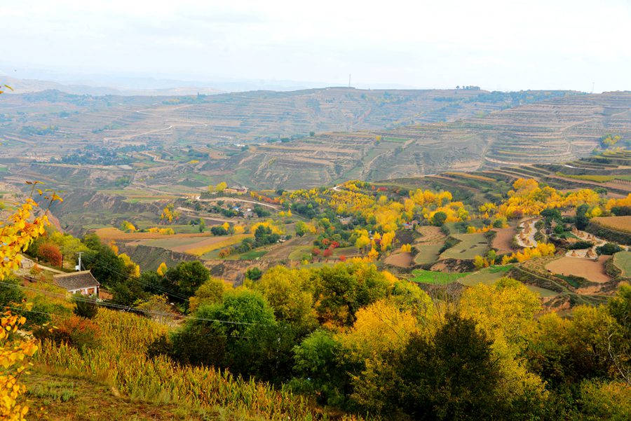 甘肅隴西：層林盡染秋色美。張愛平攝