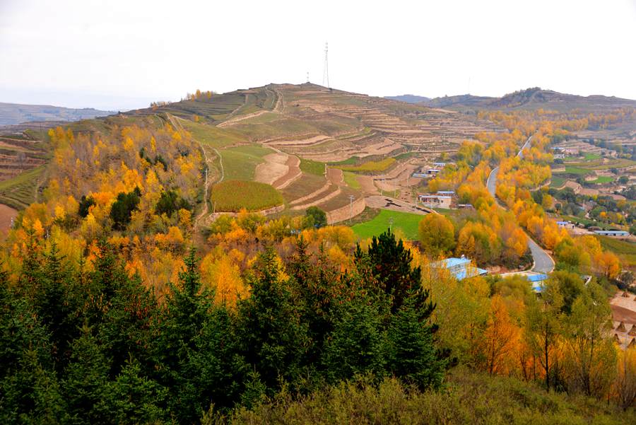 甘肅隴西：層林盡染秋色美。張愛平攝
