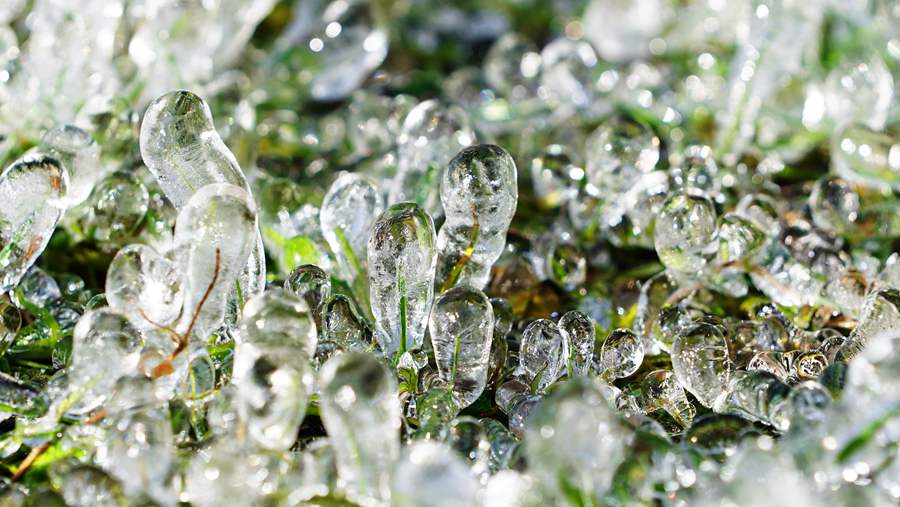 這份斑斕秋色，晶瑩剔透！ 安維斌攝