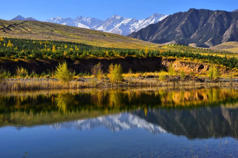 這份斑斕秋色，晶瑩剔透！ 安維斌攝