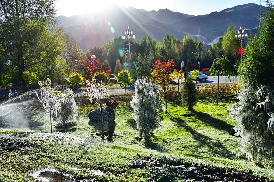 這份斑斕秋色，晶瑩剔透！ 武雪峰攝