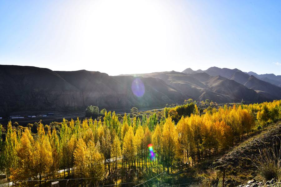這份斑斕秋色，晶瑩剔透！ 武雪峰攝