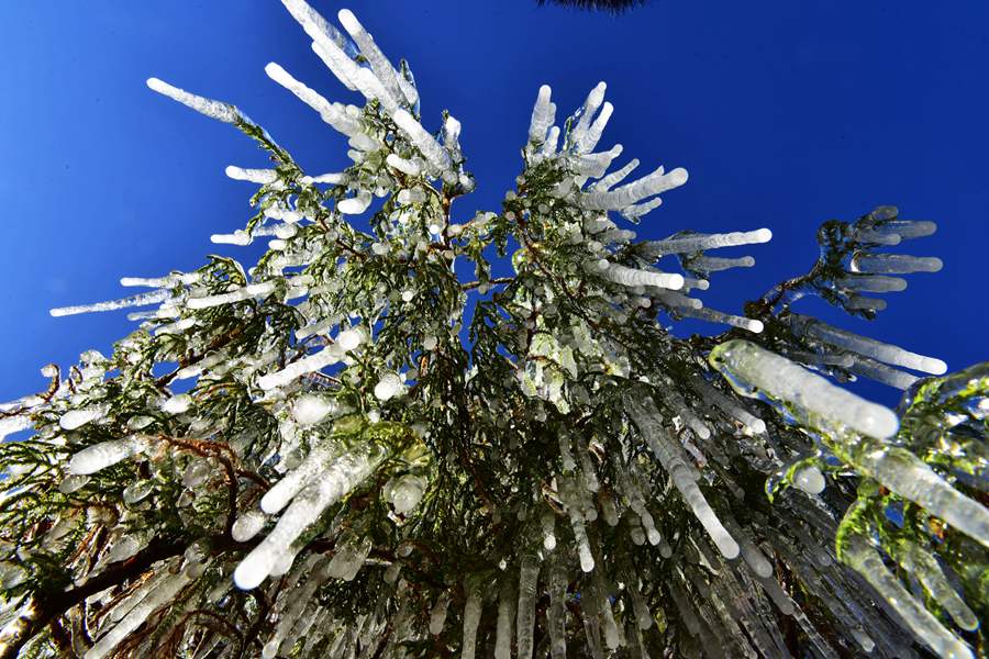 這份斑斕秋色，晶瑩剔透！ 席璇攝