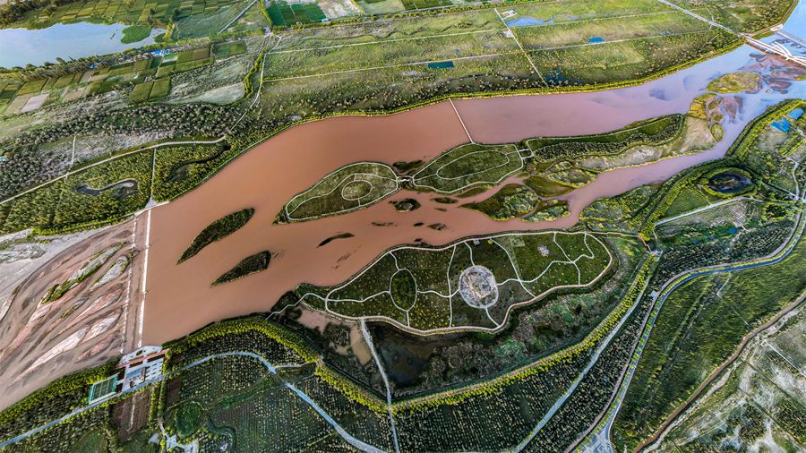 高臺黑河濕地。屈昶攝