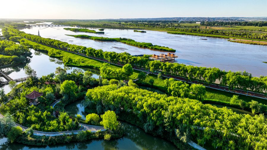 被綠色“環抱”的高臺縣城。屈昶攝