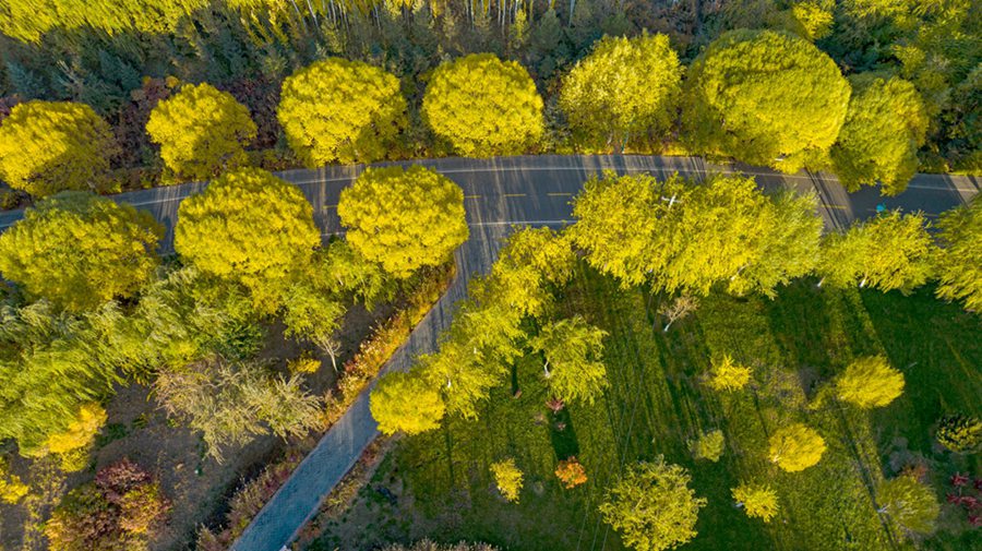 張掖國家濕地公園內水光瀲滟、色彩繽紛，美不勝收。成林攝
