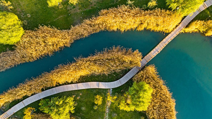 張掖國家濕地公園內水光瀲滟、色彩繽紛，美不勝收。成林攝