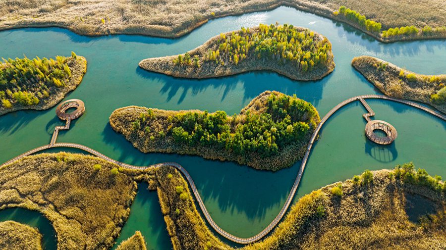 張掖國家濕地公園內水光瀲滟、色彩繽紛，美不勝收。成林攝