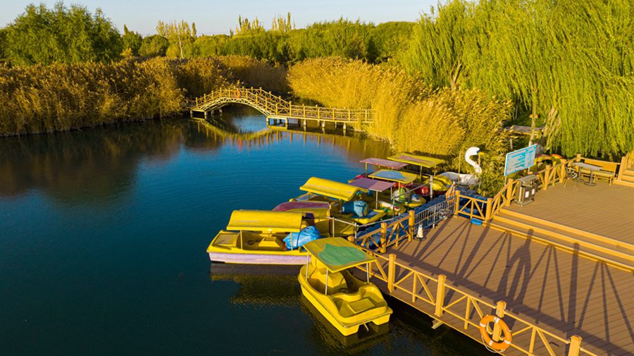 張掖國家濕地公園內水光瀲滟、色彩繽紛，美不勝收。成林攝