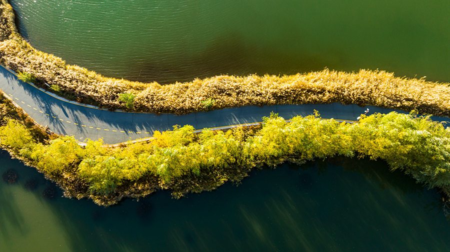 張掖國家濕地公園內水光瀲滟、色彩繽紛，美不勝收。成林攝