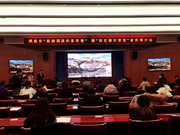 推介會現場。人民網記者 黃帆攝