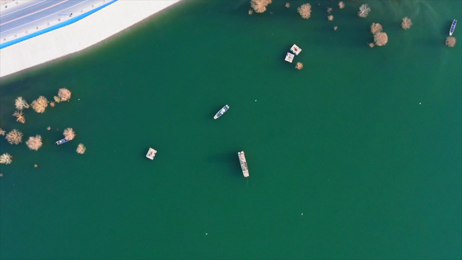 蓮花古渡春日美景。臨夏州融媒體中心供圖