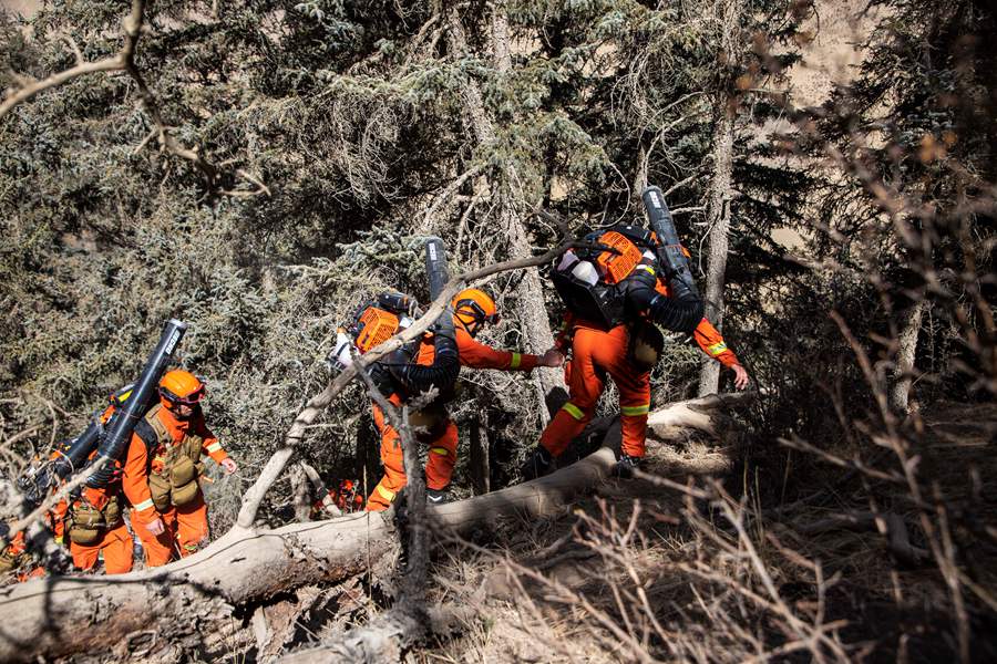 森林消防員互相幫扶，共同穿越障礙路段。王志榮攝