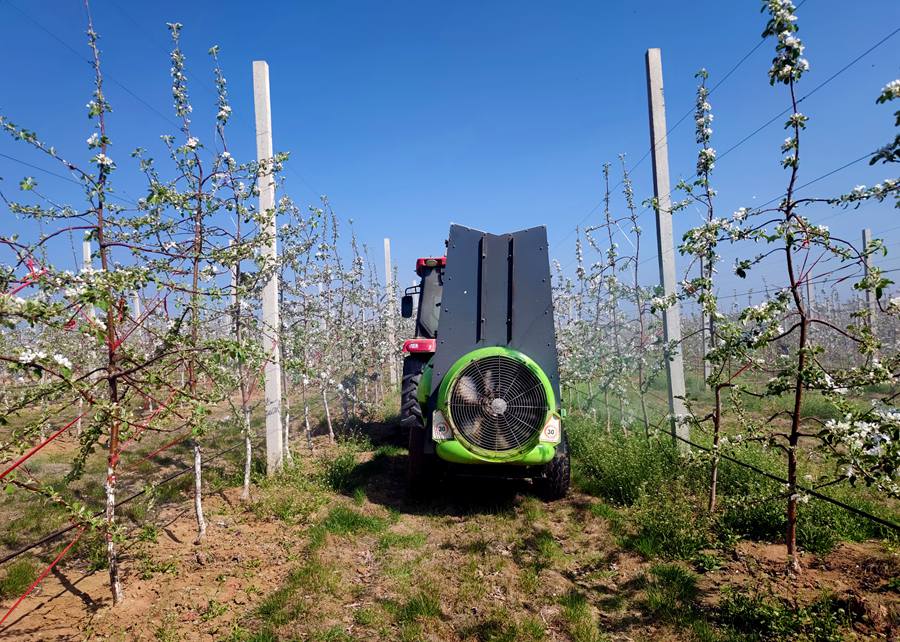 果樹管護忙。崇信縣委宣傳部供圖