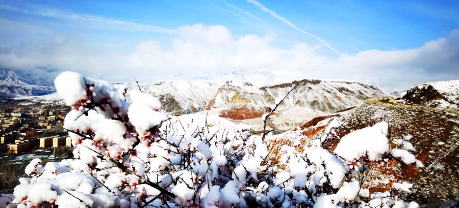 靜美如畫 甘肅肅南現霧凇景觀