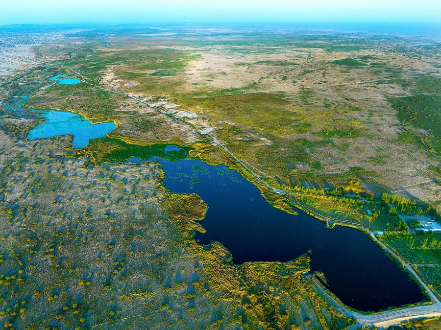 瓜州縣老師兔濕地。石佳玉攝