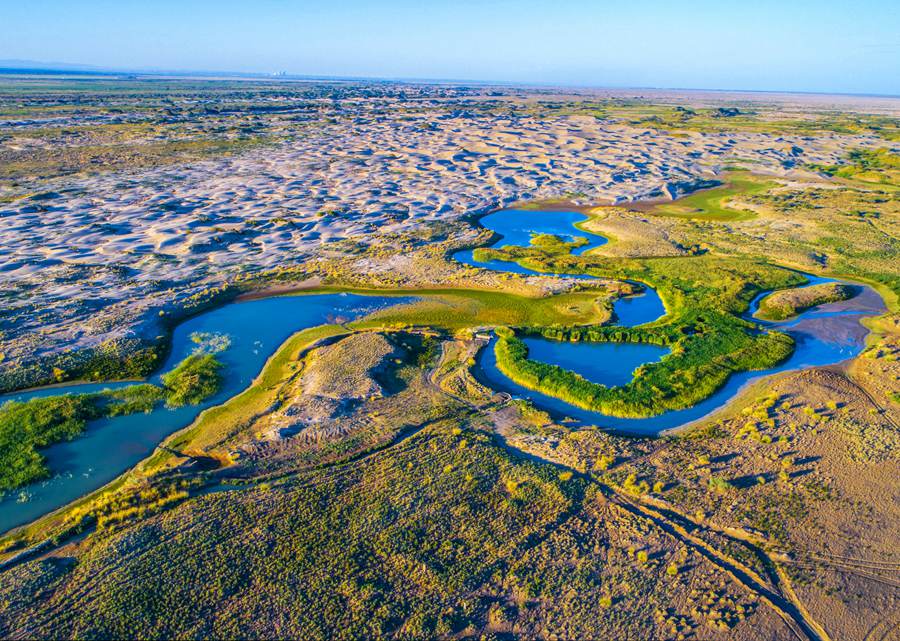 沙窩綠洲。石佳玉攝