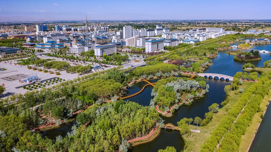 甘肅高臺：水城相依?初夏濕地美如畫【3】